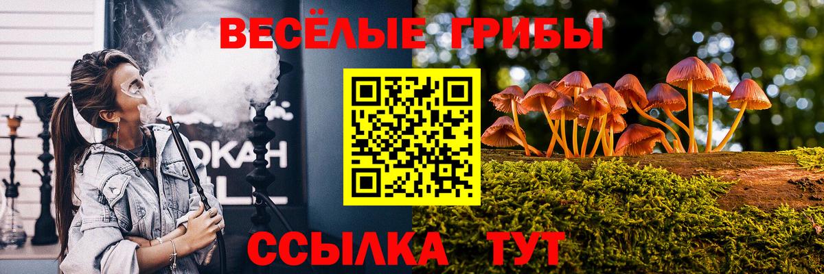 Псилоцибиновые грибы мицелий Лесозаводск